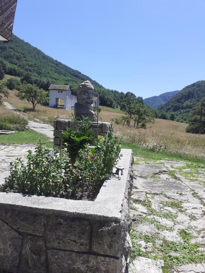 Pensiunea Costesti Exterior photo